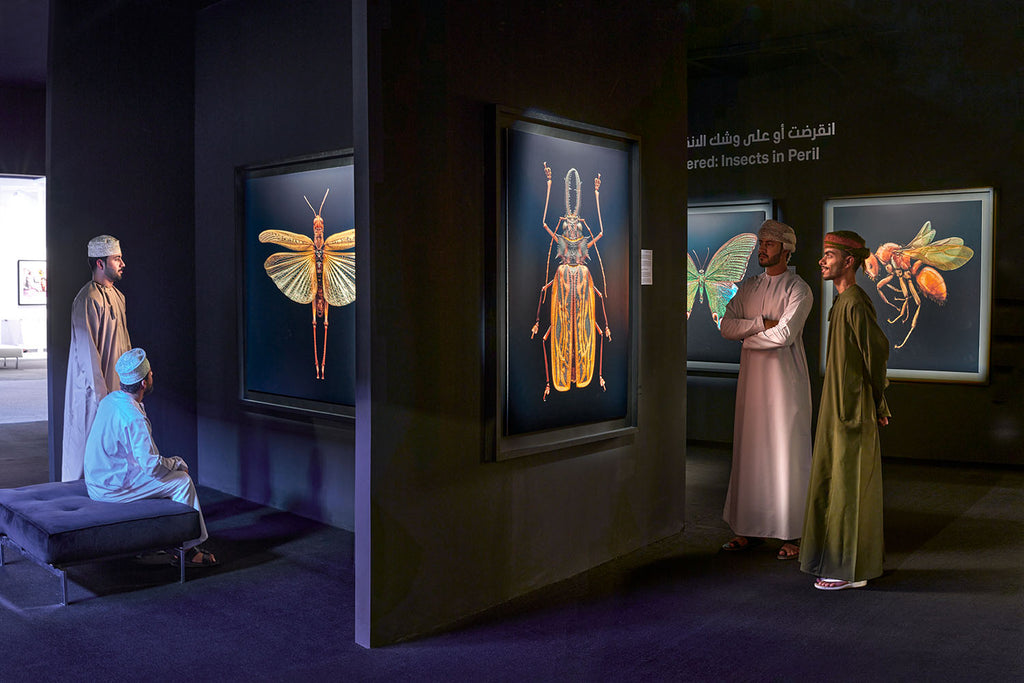 Extinct & Endangered, Xposure International Photography Festival, UAE, 2023