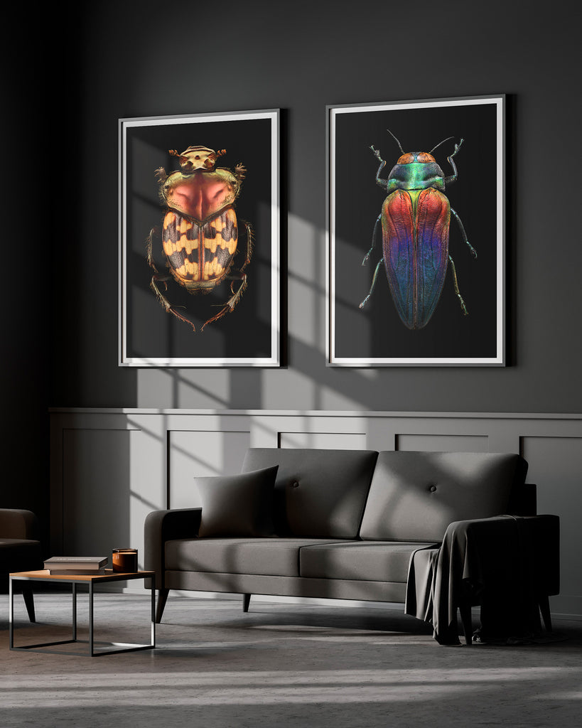 Tricolored Jewel Beetle